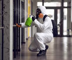 Best Mold Removal for HVAC Installations in Bastrop, TX