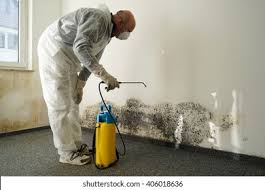  Bastrop, TX Mold Removal Pros